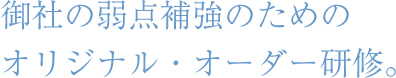 御社の弱点補強のためのオリジナル・オーダー研修。