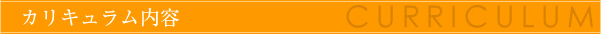 カリキュラム