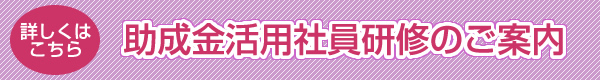 厚生労働省キャリア形成促進助成金対象